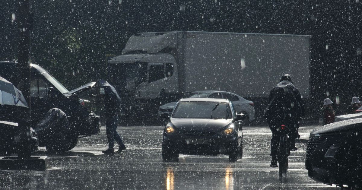 梦见雨梦境意境配图